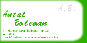 antal boleman business card